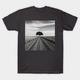 Yet another tree in a field T-Shirt